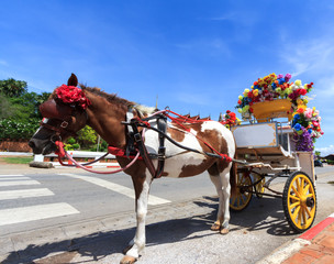 Naklejka na ściany i meble Horse carriage in Lampang, Thailand