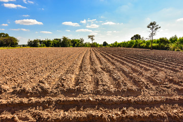 Plowing soil for cassava Economic crops in the Northeast of Thailand.
