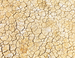 Dry cracked earth