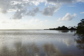 Fototapeta premium Lagune mit Mangroven und Flamingos in Santa Lucia auf Kuba | Karibik