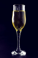 Champagne glass on black background