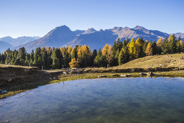 Autumn landscape in Valtellina in Italy.