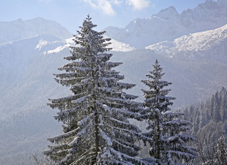 Eckbauer mountain near Garmisch-Partenkirchen. Germany