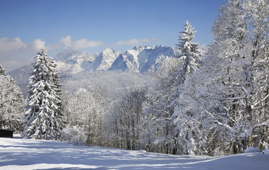 Eckbauer mountain near Garmisch-Partenkirchen. Germany