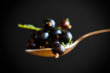 Berry ripe black currant