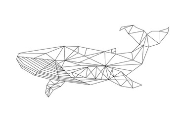 whale abstraction