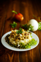 Boiled home-made noodles with gravy from eggplant