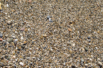 Colorful sea stones background. Colorful pebbles texture