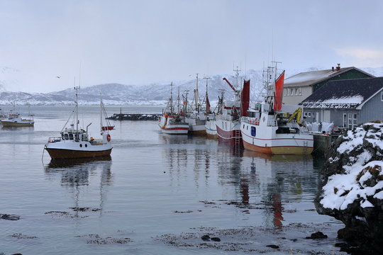 Fishing boats moored in the port-Eggum fishing village. Vestvagoya-Lofoten-Norway. 0563