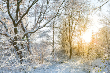 Winterlandschaft mit Schnee und Sonnenuntergang