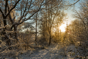 Winterlandschaft mit Schnee und Sonnenuntergang