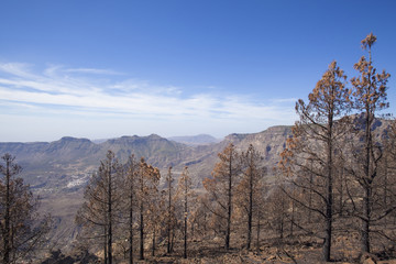 Gran Canaria  October 2017