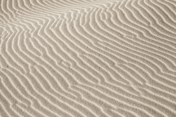Fototapeta na wymiar wind and sand pattern