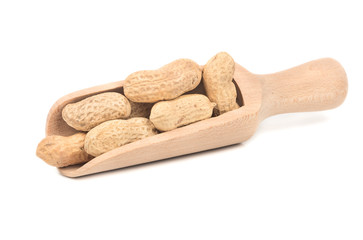 Peanuts in shell in scoop