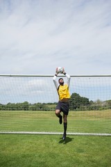 Goalkeeper save the goal