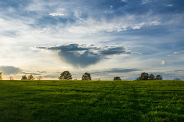 Beautiful warm evening light on green meadow with trees behind and blue sky