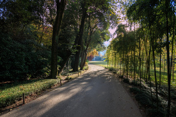 parco di villa Erba - Cernobbio 