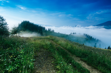Foggy morning shiny summer landscape with mist and mountain road