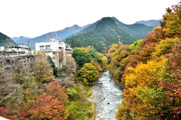 Fototapeta premium 秋の奥多摩 氷川大橋方面