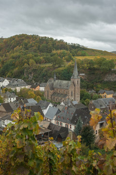 Moseltown Dhron