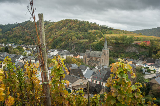Mose Wine Country - Dhron