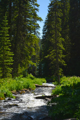 Fototapeta na wymiar mountain Creek