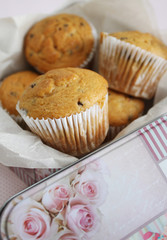 Cupcakes de Vainilla con chispas de Chocolate