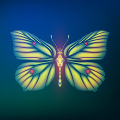 butterfly Gonepteryx rhamni from glass shards in neon light