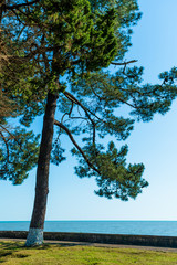 Seascape panorama of  Black Sea. Nature panoramic background