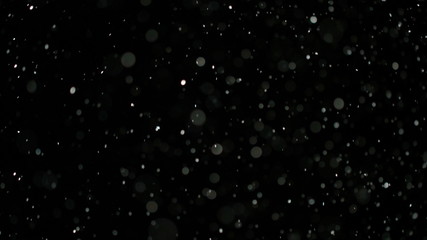 Snowfall Bokeh Lights on Black Background, Shot of Flying Snowflakes in the Air