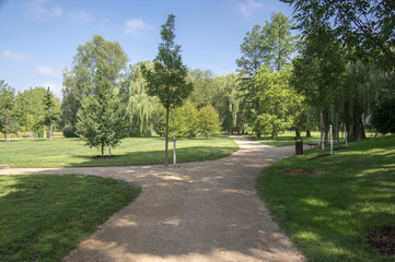 Fototapeta na wymiar Public park during summer, green nature, trees shadows, greenery, wooden bench