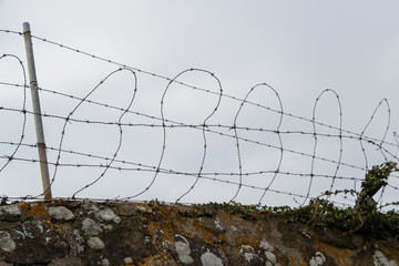 Fils de fer barbelés sur un mur 