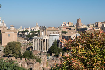Naklejka premium Roman Forum, Rome, Italy