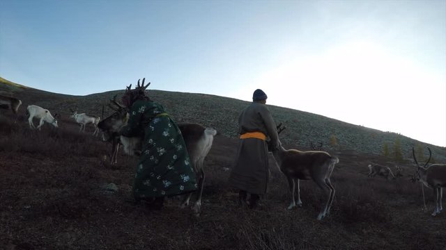 tsaatan couple with their reindeer in a nature of Northern Mongolia