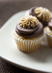 Chocolate cupcakes