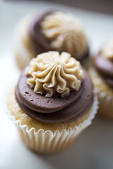 Cupcakes chocolate and maple