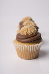 Cupcakes on white