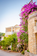 Beaytiful house with pink flowers in new district of Budva, Montenegro