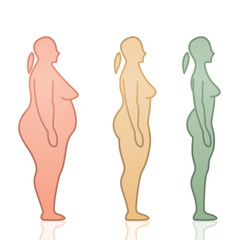 Fat to Skinny Female Silhouettes