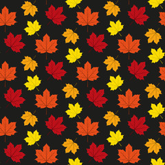 Obraz premium Autumn maple leafs pattern.