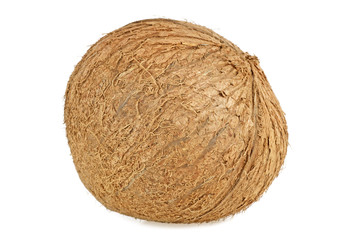 Coconut on a white background, Tropical fruit
