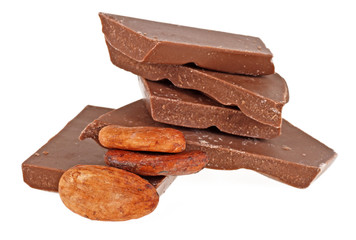 Cacao beans and chocolate on a white background