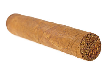 Brown cigar on a white background