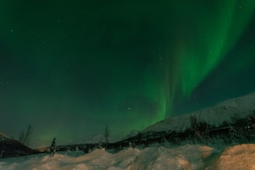 Fototapeta na wymiar Northern lights over snowy mountain in winter ,Tromso,Norway