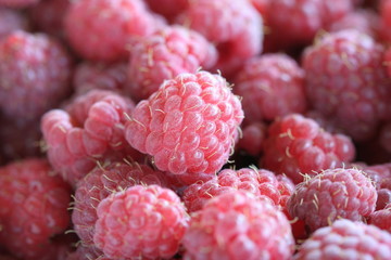 raspberry