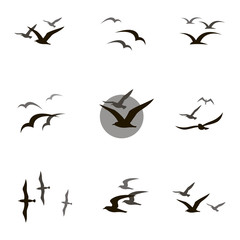 Naklejka premium zbiór czarne sylwetki latające mewa na białym tle