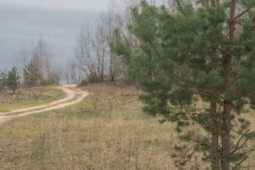 The road by the lake on a cloudy rainy day