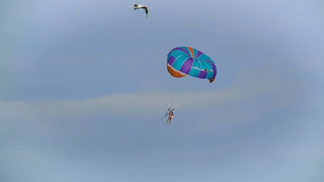 Parasailing. A man is flying on a blue parachute.