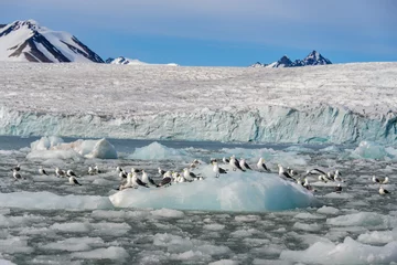 Deurstickers Arctisch landschap © Alexey Seafarer