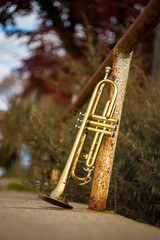Fototapeta na wymiar Jazz Trumpet Nature